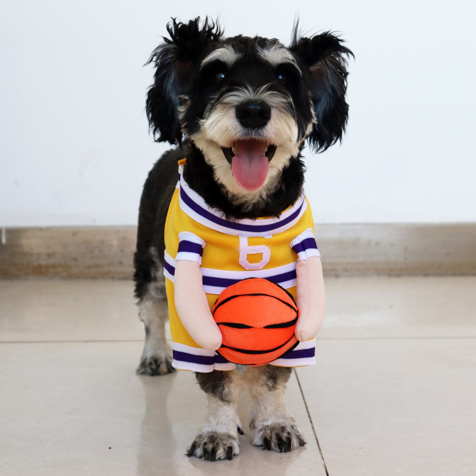 Baloncesto número 6