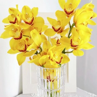 �Sɫ��ޥ�m�r�л��m���󻨻��m�r�����ֱ�l�q��ˮ��廨