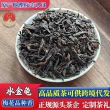 跨境茶叶【正岩水金龟】梅花香武夷岩茶四大茗枞水金龟乌龙茶500g