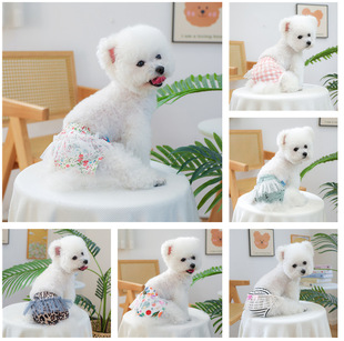 Dog Physiological Pants for Small Dogs, Menstrual Safety Pants, Sanitary Pads, Heat Period Pants, Breathable and Lightweight