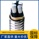 YJLHV72 铝合金芯XLPE非磁性金属丝铠装PVC护套10/15KV中高压电缆