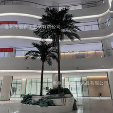仿真大王椰椰子树室外工程景观树商场园林酒店绿化造景玻璃钢假树