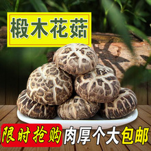 大花菇500g个大肉厚椴木花菇 香菇干货 干香菇 冬菇100克