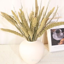 特价清仓小米穗装饰麦穗原色小米花干花花束拍摄道具开业稻穗花束