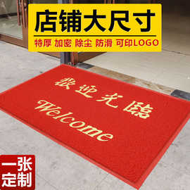 门口地垫欢迎光临进门垫迎宾进门垫家用出入平安地垫户外商用地毯