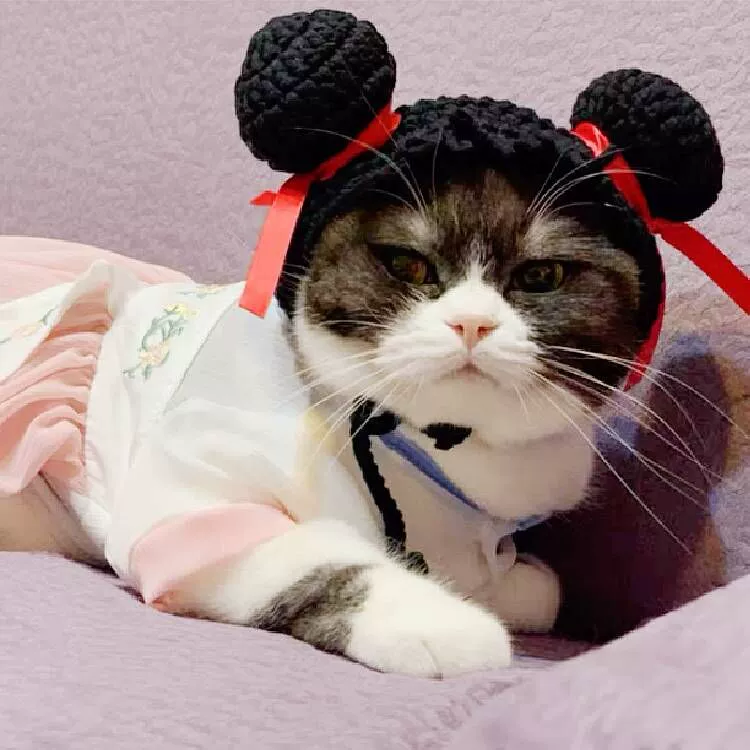 Трансграничный домашний Кот головной убор собака милая маленькая забавная шапка в форме животного, которая Zha головной убор оптом