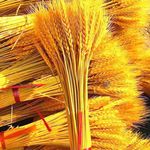 麦穗天然干花开业乔迁大麦田园花束装饰摆件拍摄道具真花直发工厂