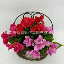 滨÷⻨廨ϻԻϼtb