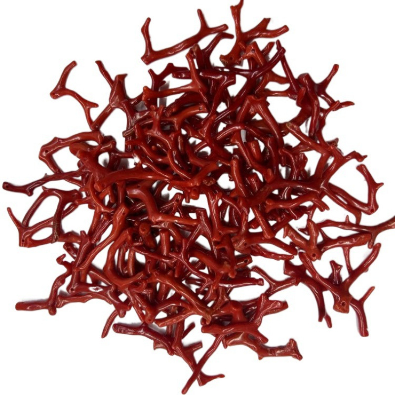 바다 대나무 작은 지점 YA 특수 모양의 펜던트 액세서리 반제품 보석 장식 액세서리 핫 스타일