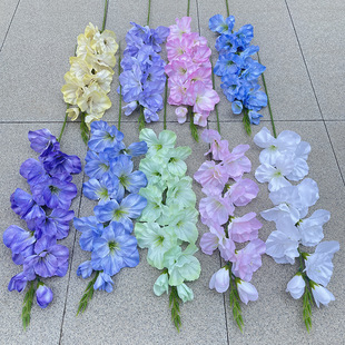 �a��؛Դ ���滨 ��֧�������m ��c·���b� �Ҿ�ܛ�b