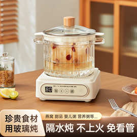 多功能电炖锅小型隔水电炖盅宝宝辅食燕窝家用厨房双耳玻璃炖锅