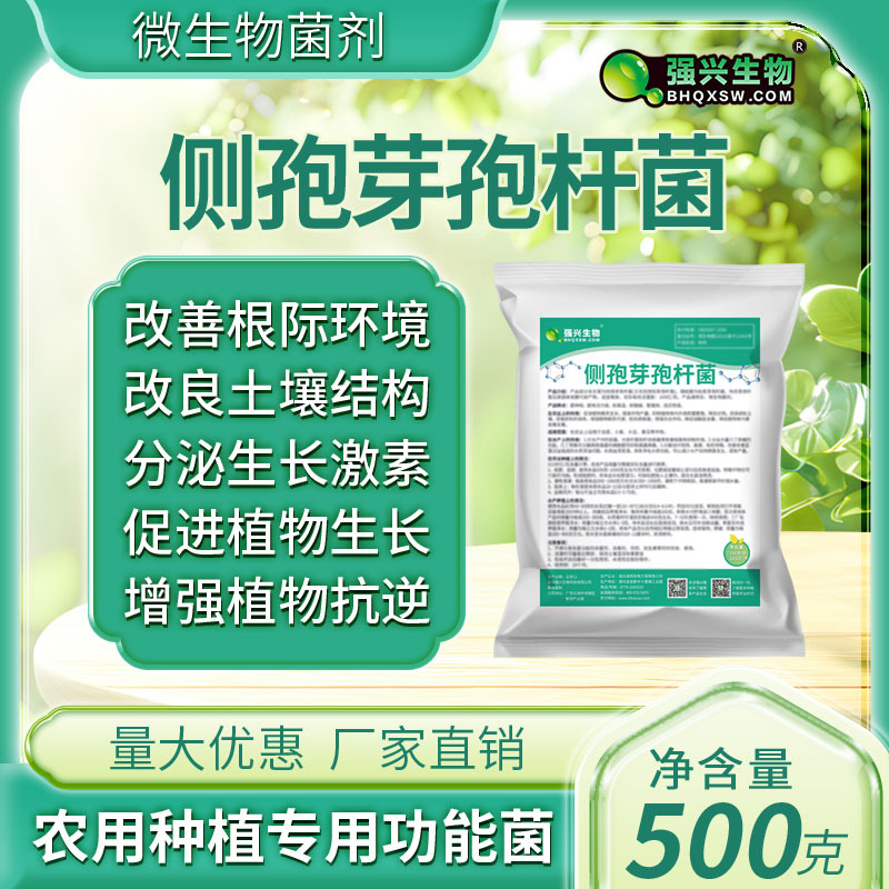 100亿侧孢芽孢杆菌去除蓝藻净化水质灭杀根结线虫改良土壤生物质
