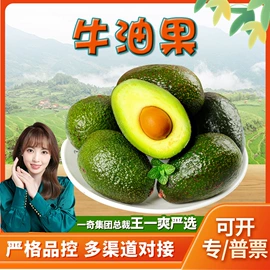 代用/养生茶;苹果;花果茶