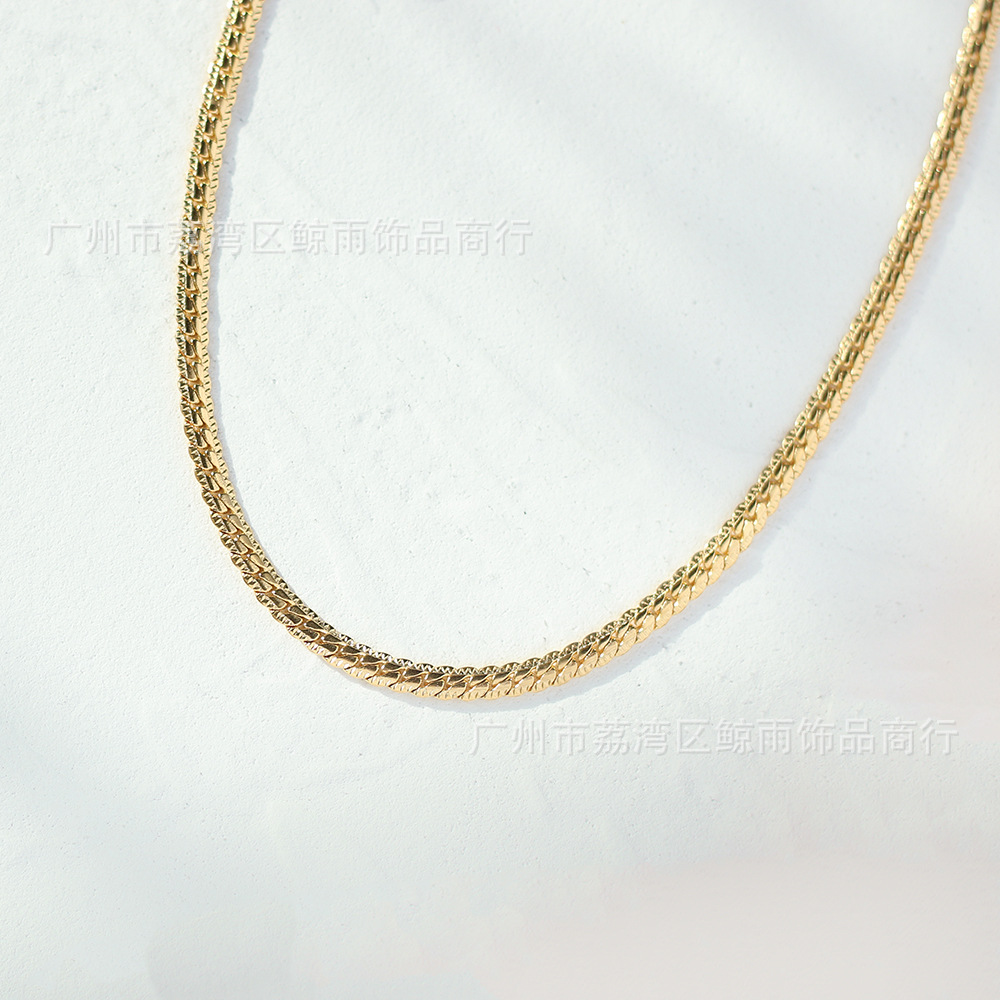 18k Retro Snake Bone Flat Chain Titanium Steel Necklace Wholesale Nihaojewelry display picture 6