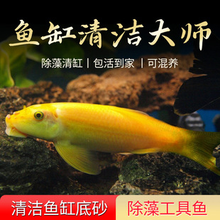 ��̦���^�p�~�����С���坍�~���幤���~���~�ʺ�����ˮ���B�ͻ�