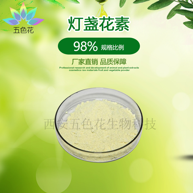 灯盏花素98%  灯盏花提取物 植物提取物 量大从优 100g/袋 包邮