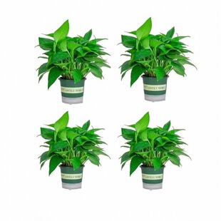 �G�}ˮ��������l�����¿��҃ȳ���ȩ�����՚���~