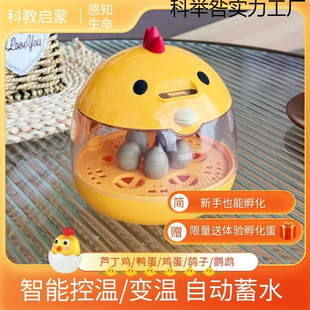 Children's Science and Education Incubator Small Household Intelligent Constant Temperature Rutin Chick Parrot Automatic Egg Incubator School