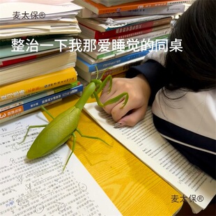 �����늄���߼t�⾀�b������С���������M��ͯ���2025��̫��