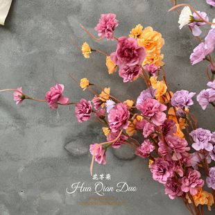 ����4����^��ޱ�� ��c������·���ļҾ��b����Nޱ�ٻ����l