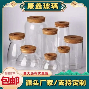 [Manufacturer Customization] Multi-Specification High Borosilicate Glass Hydroponic Bottles for Office Desktop Display Hydroponic Ecological Bottles