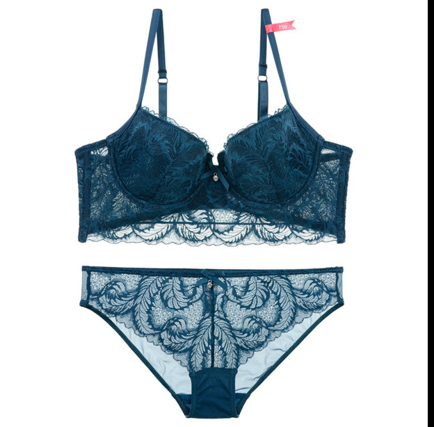 New Sexy Feather Series Bra Set for Women Gathering Beautiful Curve Cotton Cup_voghion.com