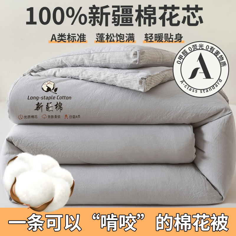 A类母婴级100%新疆棉花被春秋被加厚冬被夏凉被全棉学生宿舍被芯|undefined