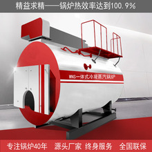 �m��WNS4-1.25-YQ��Чһ�w����ȼ������偠t���I����S��