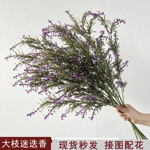 ��@�L����Gֲ�Ե���޹�²ݻ��� �ٻ��҃ȼҾ��b� ������β��