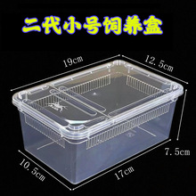 ����������B�����x��B��֩���،m������ϐ��������Ϟ������w��