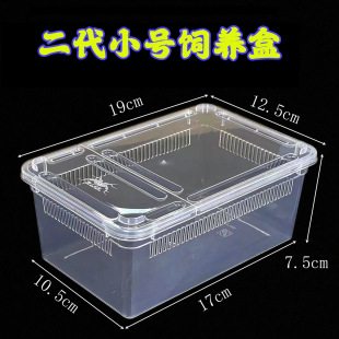 ����������B�����x��B��֩���،m������ϐ��������Ϟ������w��