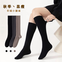 ŮʿС���m�����m�ﶬ����q��ɫINS�͹ŌWԺ�Ljk�LͲ�m���e�ٴ�