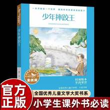 翌平少年摔跤王正版小学生三四五六年级课外书老师推荐阅读儿童文