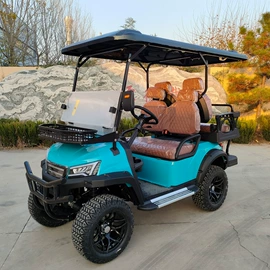 电动观光车;高尔夫球车;消防车