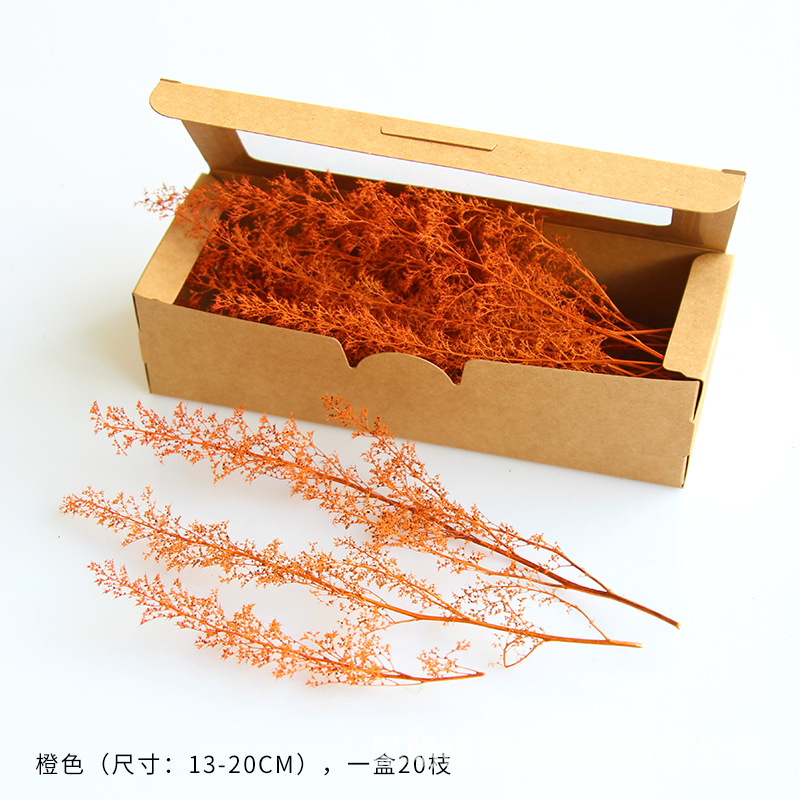 Cao cấp 12-20cm chi ngắn [hộp 20 chiếc màu cam]
