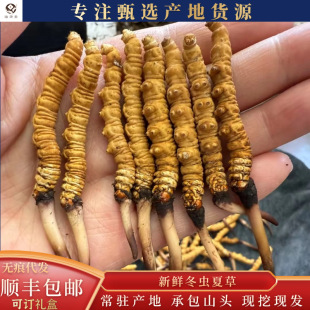 �a��ֱ�l��ظ�ԭ��Ʒ�^�ڸ�ˢ�S�۾����SM�ߺ��ι������r�x��