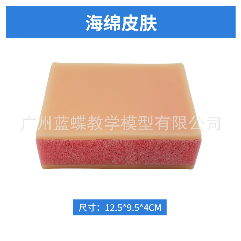 �����Ƥ�����ģ�� ��㼡���п����ѵ��ģ�� ����п������ϰ