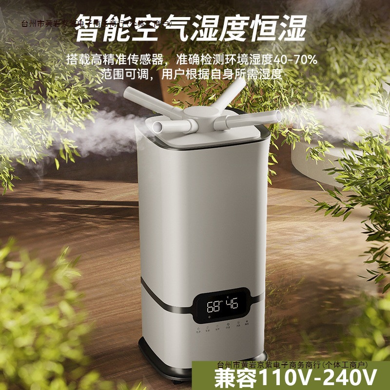Atomizer Fog 10 Large V Sterilization Spray Air Humidifier Household Large Capacity Disinfection Amount 1 Free Shipping