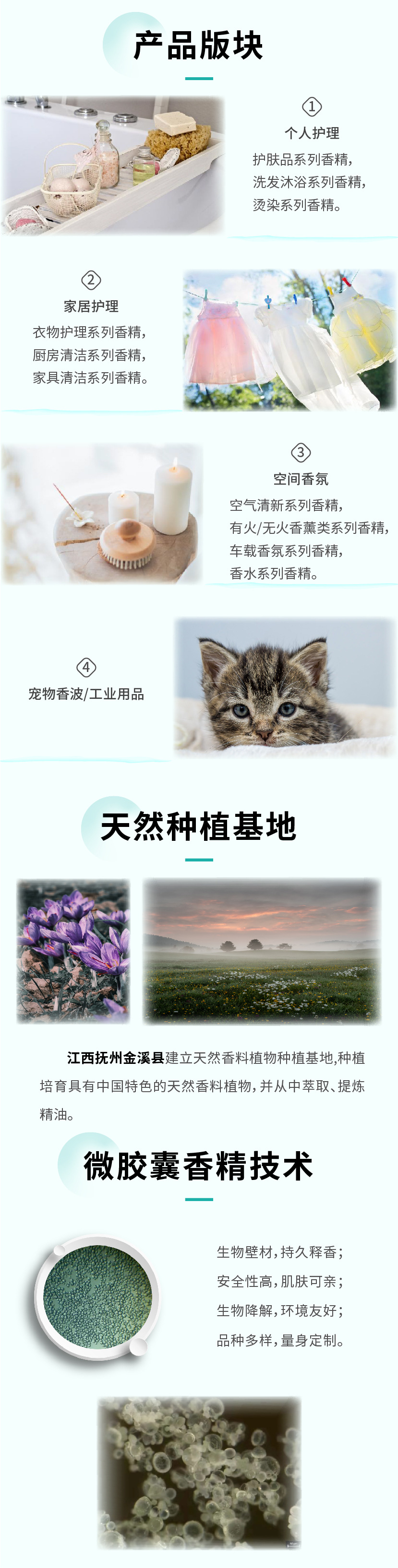 详情页-02_画板 1 副本 5