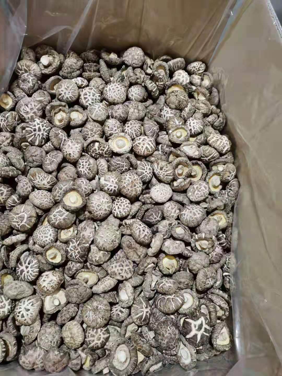 微信图片_20211123180545