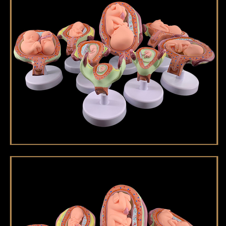 O1CN01Bz1xcR2Kk6XeqWZRP_!!3578