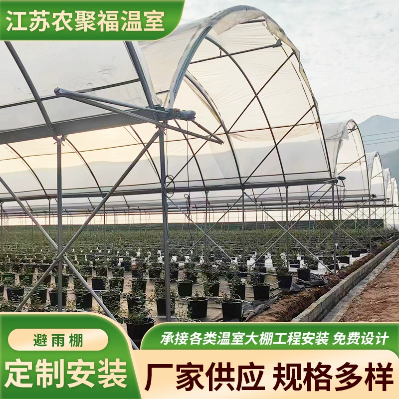 Черничные теплицы для установки фруктов и овощей для выращивания сельскохозяйственных теплиц оцинкованные трубы из пластиковой пленки
