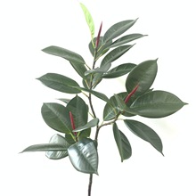 ������Ƥ���~ �ڽ����������b���Ƥ�䱱�W�پGֲ���Ԕ[���Gֲ