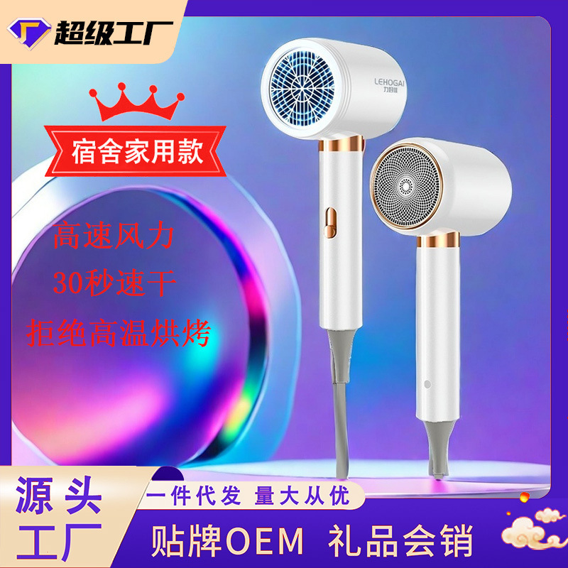 クロスボーダー新型ハイパワーヘアサロン家庭用寮冷熱風網紅ブロー筒電気ブロープレゼント|undefined