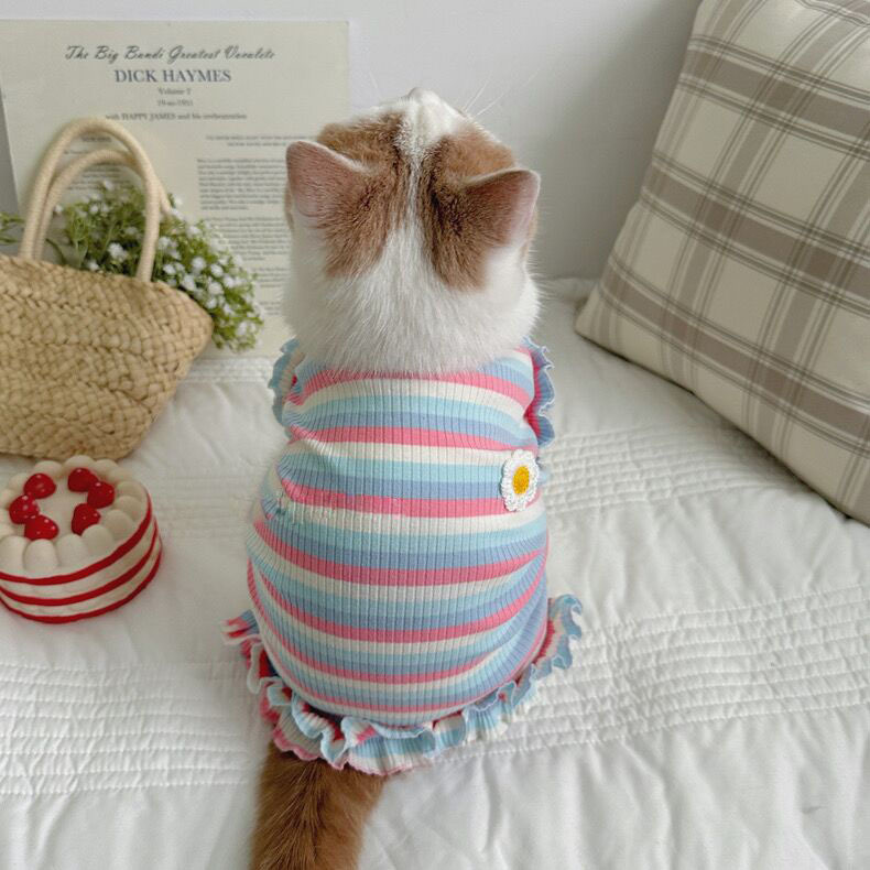 9de80bec-9bee-4be3-85f2-7ed0e2d88f20.jpe