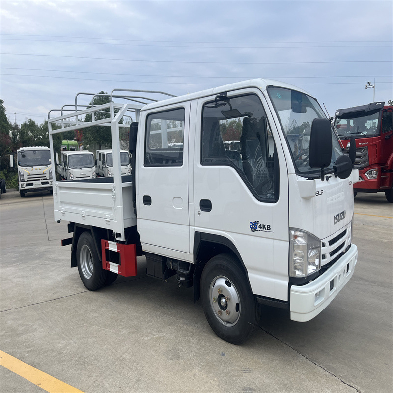 Export Right-Hand Drive Isuzu 6-Seat Truck, Double-Row Aerial Work Vehicle, Isuzu 3-Ton Dump Truck, Tipper Truck