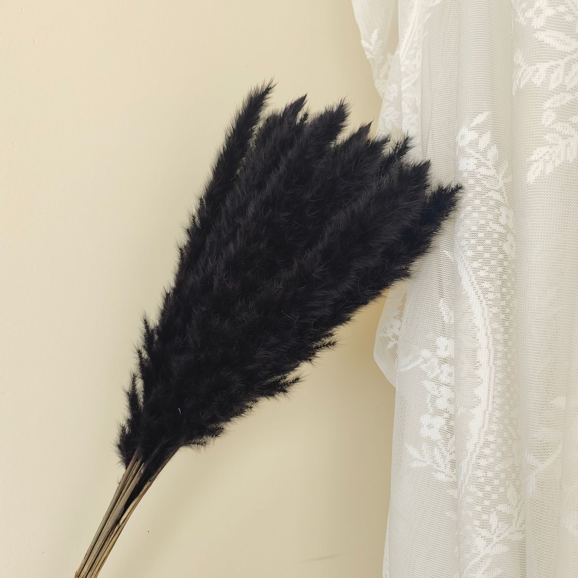 검은색 가지 15개