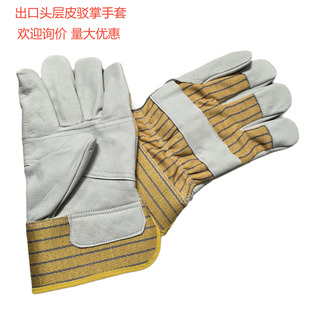 10.5�絭�Sɫ�^��ţƤ��ĥ�����g���������Q���ڏS�ҹ�������