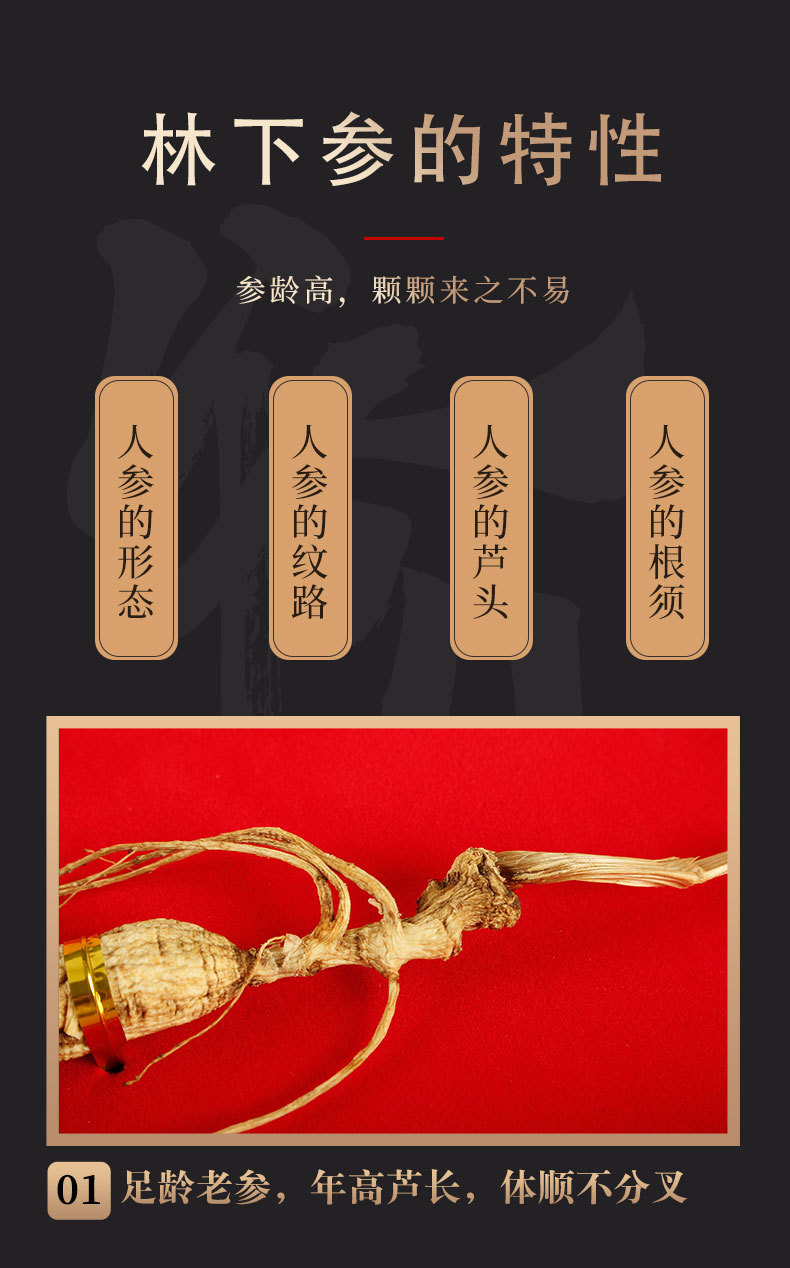 Changbai Mountain Forest Grown Ginseng Gift Box Whole Root for Cooking and Traditional Herbal Use quality and texture