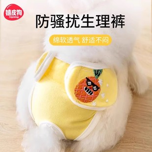 ĸ��������ѝ�l�����̋������½��ڷ����䰲ȫ����ѝ����������Ʒ